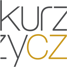 Každá stavba je jiná, standardizace kontrol nemusí být řešením